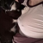 Эскортница Яночка IntimCity